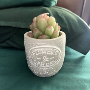 Faux Succulent in Gray 'Flowers & Garden' Planter
